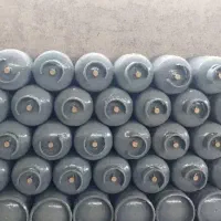 سهمیه گاز(دم منزل)