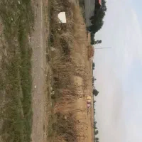 زمین باغی ویا تجاری کار صنعتی بر خیابان اصلی بندر|فروش دفتر صنعتی، کشاورزی، تجاری|کردکوی, |دیوار