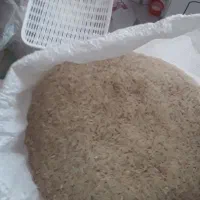 برنج طارم هاشمی