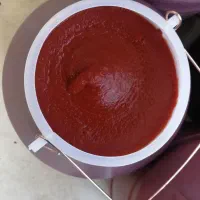 رب گوجه رب انار|خوردنی و آشامیدنی|مشهد, امام رضا (ع)|دیوار
