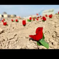 اکو مداح