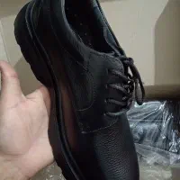 کفش|کیف، کفش، کمربند|بیرجند, |دیوار