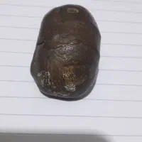 سنگ مهردار.عکس زن شیر چهارپای وخطهای یهودی