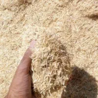 کاه گندم شلیف شده و آماده