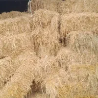 فروش پرس کاه شالی(برنج)