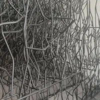 شاخ گوزنی حفاظ