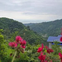 اجاره ویلاه جنگلی دربست جکوزی دو خوابه جواهرده