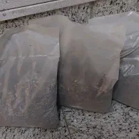 فروش حلزون آچاتینا|خزنده|اصفهان, بهار آزادی|دیوار