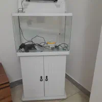 آکواریوم سالم