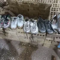 کفش زنانه کتونی بچگانه
