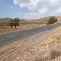 زمین کشاورزی مزرعه|فروش دفتر صنعتی، کشاورزی، تجاری|خرقان, |دیوار