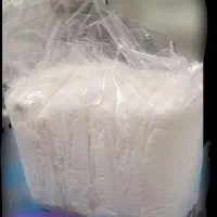 ایزی لایف