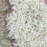 برنج شالی  درونگر .درجه یک