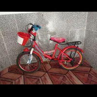 دوچرخه 16|دوچرخه، اسکیت، اسکوتر|شیراز, شهدای شهرک سعدی|دیوار