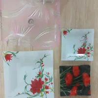 ظروف پذیرایی