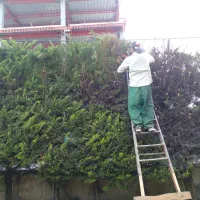 علف تراشی هرس درخت برش چوب کاشت نهال|خدمات باغبانی و درختکاری|عباس‌آباد, |دیوار