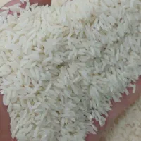 برنج‌‌سنگ طارم ضمانتی|خوردنی و آشامیدنی|ساری, |دیوار