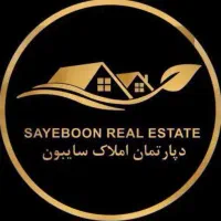 مشاور با درآمد رئیس بانک