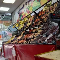 واگذاری میوه فروشی با لوازم کامل و تجهیزات کامل
