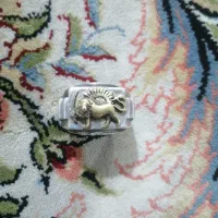 انگشتر نقره شیر خورشید
