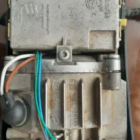 بخاری در جا آلمانی اصل