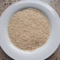 برنج شیرودی