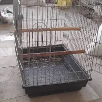 قفس پرنده در حد نو|لوازم جانبی حیوانات|سنندج, |دیوار