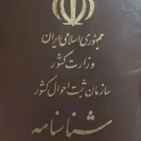 شناسنامه گمشده بنام ساسان حسنی