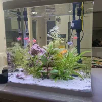 آکواریوم شرکتی آکوا کامل