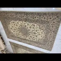 فرش کاشان ۶متری|فرش|بروجرد, |دیوار
