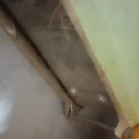 دو عدد طبل پوستی و طرقی|درام و پرکاشن|زرند, |دیوار