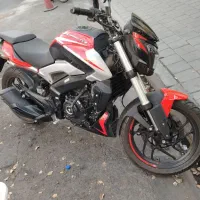 دومینار 250