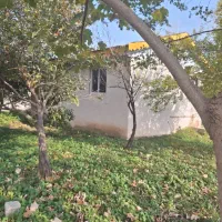 خونه باغ ۱۵۵۰متری|فروش خانه و ویلا|رشت, دیلمان|دیوار