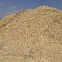 خریدار کاه نخود سر زمین و کاه لوبیا وعدس|خدمات باغبانی و درختکاری|کرمانشاه, |دیوار