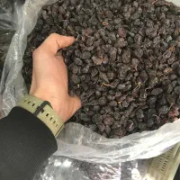 کشمش آفتابی، پلویی ، ضایعاتی ،حلوایی|خوردنی و آشامیدنی|بهارستان, |دیوار