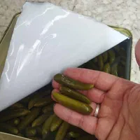 پخش عمده خیارشور|خوردنی و آشامیدنی|اصفهان, قهجاورستان|دیوار