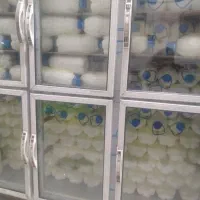 بازاریابی لبنیات