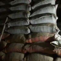 یونجه‌خالص