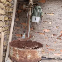 تخمه پز
