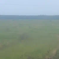 زمین-کشاورزی-شالیزار