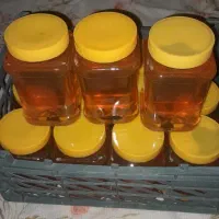 عسل ییلاقی سبلان