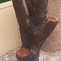 پایه  گلدان