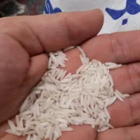 برنج هاشمی درجه یک