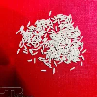 برنج دم‌سیاه مینودشت