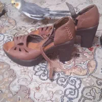 کفش زنانه|کیف، کفش، کمربند|شیراز, شهرک کوشکک|دیوار