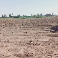 زمین برای کاشت سیب زمینی  یا پیاز