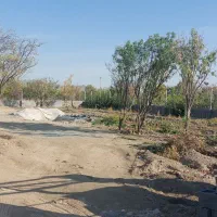 زمین