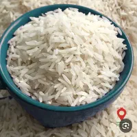برنج فجر سوزنی فروش فوری