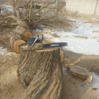خرید‌درخت‌خریدار‌چوب‌برش‌انواع‌درختان‌مانع‌هرس‌|خدمات باغبانی و درختکاری|تبریز, |دیوار