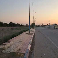 زمین تفکیکی کوت سید سلطان(نرسیده به ویس و ملاثانی)|فروش زمین و ملک کلنگی|اهواز, کوروش|دیوار